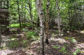 Photo 43: Lot 2 Blue Rocks Road in Garden Lots: Vacant Land for sale : MLS®# 202311970