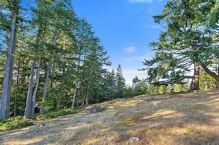 Photo 67: 690 Cains Way in Sooke: Sk East Sooke House for sale : MLS®# 924156