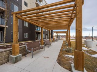 Photo 3: 2312 4641 128 Avenue NE in Calgary: Skyview Ranch Apartment for sale : MLS®# A2026273
