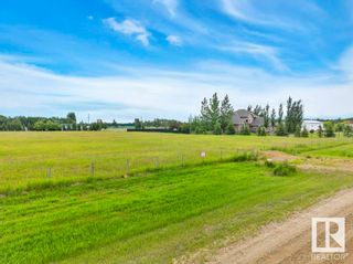 Photo 9: #5 471021 Range Road 242A: Rural Wetaskiwin County Vacant Lot/Land for sale : MLS®# E4323772