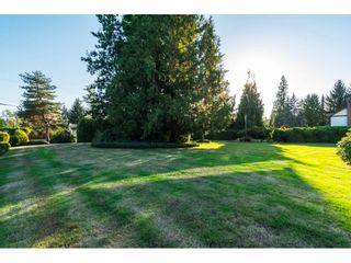 Photo 19: 7673 229 Street in Langley: Fort Langley House for sale : MLS®# R2210407