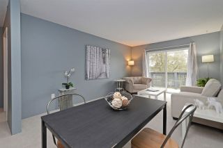 Photo 6: 167 200 WESTHILL Place in Port Moody: College Park PM Condo for sale : MLS®# R2346422