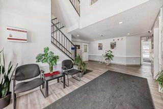 Photo 22: 202 5555 Falsbridge Drive NE in Calgary: Falconridge Apartment for sale : MLS®# A2118008