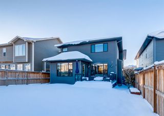 Photo 49: 40 CRANBROOK Circle SE in Calgary: Cranston Detached for sale : MLS®# A2006840