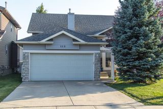 Photo 2: 113 Stonegate Place NW: Airdrie Detached for sale : MLS®# A1038026