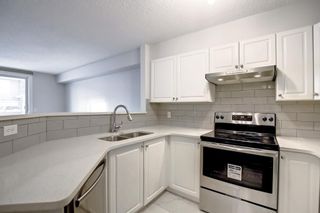Photo 14: 1112 6635 25 Avenue NE in Calgary: Pineridge Apartment for sale : MLS®# A1177665