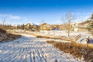 Photo 36: 25 Citadel Meadow Gardens NW in Calgary: Citadel Row/Townhouse for sale : MLS®# A2106082