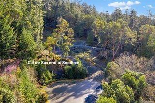 Photo 3: LOT B Wilderness Pl in Sooke: Sk Becher Bay Land for sale : MLS®# 871435