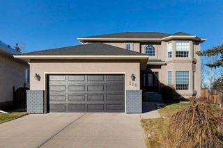 Main Photo: 228 Edgebrook Gardens NW in Calgary: Edgemont Detached for sale : MLS®# A2118077