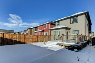 Photo 36: 340 Skyview Shores Manor NE in Calgary: Skyview Ranch Detached for sale : MLS®# A2029516
