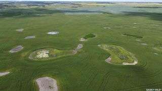Photo 3: Willowdale Farm - 646 Acres in Willowdale: Farm for sale (Willowdale Rm No. 153)  : MLS®# SK952080