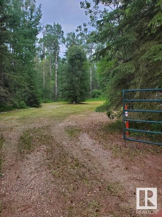 Photo 9: 1 Twp Rd 462: Rural Wetaskiwin County Vacant Lot/Land for sale : MLS®# E4358919