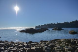 Photo 19: 7643 COVE BEACH Road in Halfmoon Bay: Halfmn Bay Secret Cv Redroofs Land for sale in "Cove Beach" (Sunshine Coast)  : MLS®# R2758910