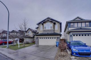 Photo 13: 795 Auburn Bay Heights SE in Calgary: Auburn Bay Detached for sale : MLS®# A2122912