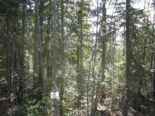 Photo 3: Lot 84 Anglemont  Way in Anglemont: Land Only for sale : MLS®# 10001830