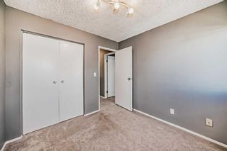 Photo 19: 162 Midbend Place SE in Calgary: Midnapore Row/Townhouse for sale : MLS®# A2133241