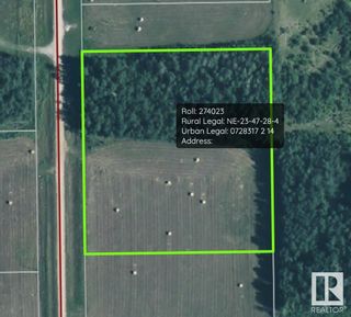 Photo 10: 281029 616 Highway: Rural Wetaskiwin County Rural Land/Vacant Lot for sale : MLS®# E4301317