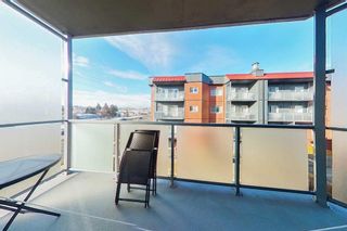 Photo 18: 301 335 Garry Crescent NE in Calgary: Greenview Apartment for sale : MLS®# A2091695