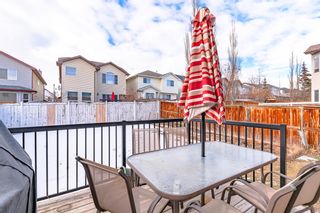 Photo 39: 229 Evansmeade Circle NW in Calgary: Evanston Detached for sale : MLS®# A2020074
