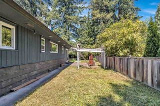 Photo 29: 11410 207 Street in Maple Ridge: Southwest Maple Ridge House for sale : MLS®# R2587693