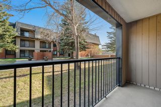 Photo 25: 2108 4001B 49 Street NW in Calgary: Varsity Apartment for sale : MLS®# A2041381