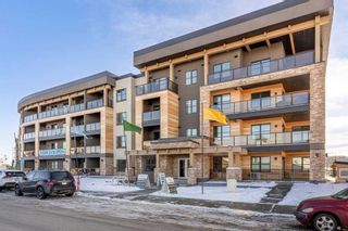 Photo 27: 207 55 Wolf Hollow Crescent SE in Calgary: C-281 Apartment for sale : MLS®# A2098847
