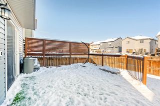 Photo 27: 984 Copperfield Boulevard SE in Calgary: Copperfield Detached for sale : MLS®# A2028253