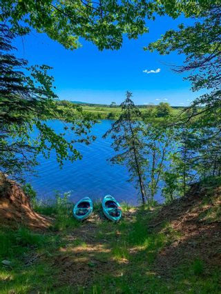 Photo 31: 140 Devaney Marsh Right Of Way in Centrelea: Annapolis County Residential for sale (Annapolis Valley)  : MLS®# 202302857