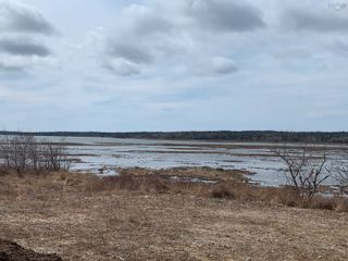 Photo 5: Lot 2 Ditcher Road in Wedgeport: County Wedgeport Vacant Land for sale (Yarmouth)  : MLS®# 202105114