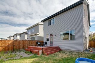 Photo 41: 183 Walden Terrace SE in Calgary: Walden Detached for sale : MLS®# A1123149