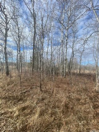 Photo 9: 9.17 Acre South in Hudson Bay: Lot/Land for sale : MLS®# SK927895