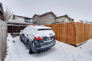 Photo 38: 136 Templeby Place NE in Calgary: Temple Detached for sale : MLS®# A2014762