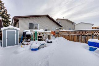 Photo 4: 119 Bedwood Bay NE in Calgary: Beddington Heights Detached for sale : MLS®# A2028643