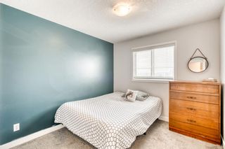 Photo 17: 13 Evanscrest Road NW in Calgary: Evanston Detached for sale : MLS®# A2039397