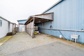 Photo 34: 41590 NICOMEN ISLAND TRUNK Road in Mission: Dewdney Deroche Agri-Business for sale : MLS®# C8049736