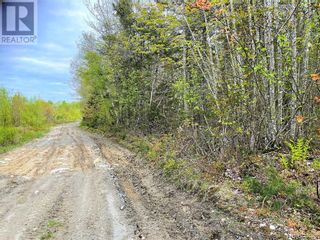 Photo 10: -- Gaines Road in Rollingdam: Vacant Land for sale : MLS®# NB073095