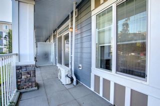 Photo 20: 118 110 Auburn Meadows View SE in Calgary: Auburn Bay Apartment for sale : MLS®# A1257268