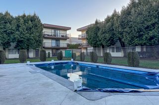 Photo 26: 220 1909 SALTON Road in Abbotsford: Central Abbotsford Condo for sale in "FOREST VILLAGE-BIRCHWOOD" : MLS®# R2856089