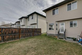 Photo 29: 49 Tarington Landing NE in Calgary: Taradale Semi Detached (Half Duplex) for sale : MLS®# A2119745