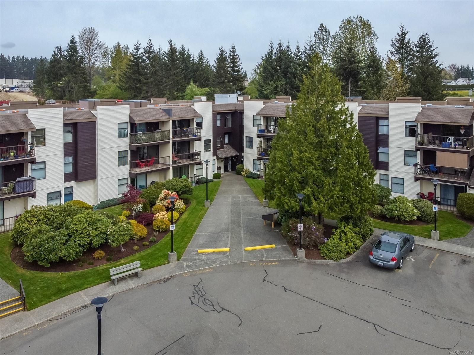 Main Photo: 108 585 Dogwood St in Campbell River: CR Campbell River Central Condo for sale : MLS®# 890017