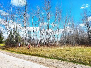 Photo 3: 4 Edinburgh Road in Seven Sisters Falls: Hydro Townsite Residential for sale (R18)  : MLS®# 202311943