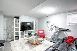 Photo 26: 146 Cooperswood Place SW: Airdrie Semi Detached for sale : MLS®# A1213180