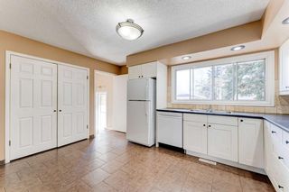 Photo 12: 9748 Elbow Drive SW in Calgary: Haysboro Detached for sale : MLS®# A2130566