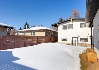 Photo 45: 4208 Bowlen Street NW in Calgary: Brentwood Detached for sale : MLS®# A2032370