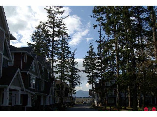 Main Photo: # 38 5837 SAPPERS WY in Sardis: Vedder S Watson-Promontory Condo for sale : MLS®# H1102141