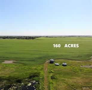 Photo 3: 159 Acres Range Road 281: Chestermere Residential Land for sale : MLS®# A2020836