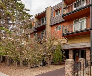 Photo 2: 203 1530 16 Avenue SW in Calgary: Sunalta Apartment for sale : MLS®# A2132912