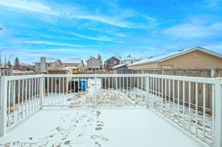 Photo 46: 59 Martinridge Way NE in Calgary: Martindale Detached for sale : MLS®# A1182664