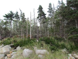 Photo 16: 25A 2 Atlantic Street in Blind Bay: 40-Timberlea, Prospect, St. Marg Vacant Land for sale (Halifax-Dartmouth)  : MLS®# 202319501