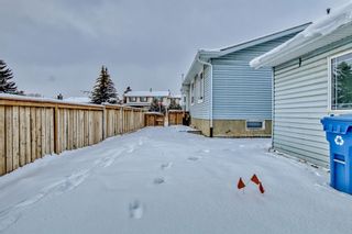 Photo 45: 12 Templevale Gate NE in Calgary: Temple Detached for sale : MLS®# A2023278